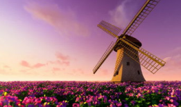 风车视频,探寻自然能源的绿色魅力